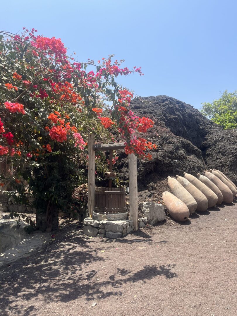 Bodega tradicional de Pisco em Lunahuaná, Peru, com botijas de cerâmica e árvore florida no jardim